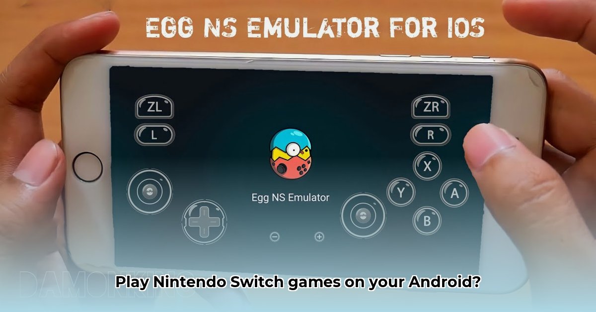 eggs-ns